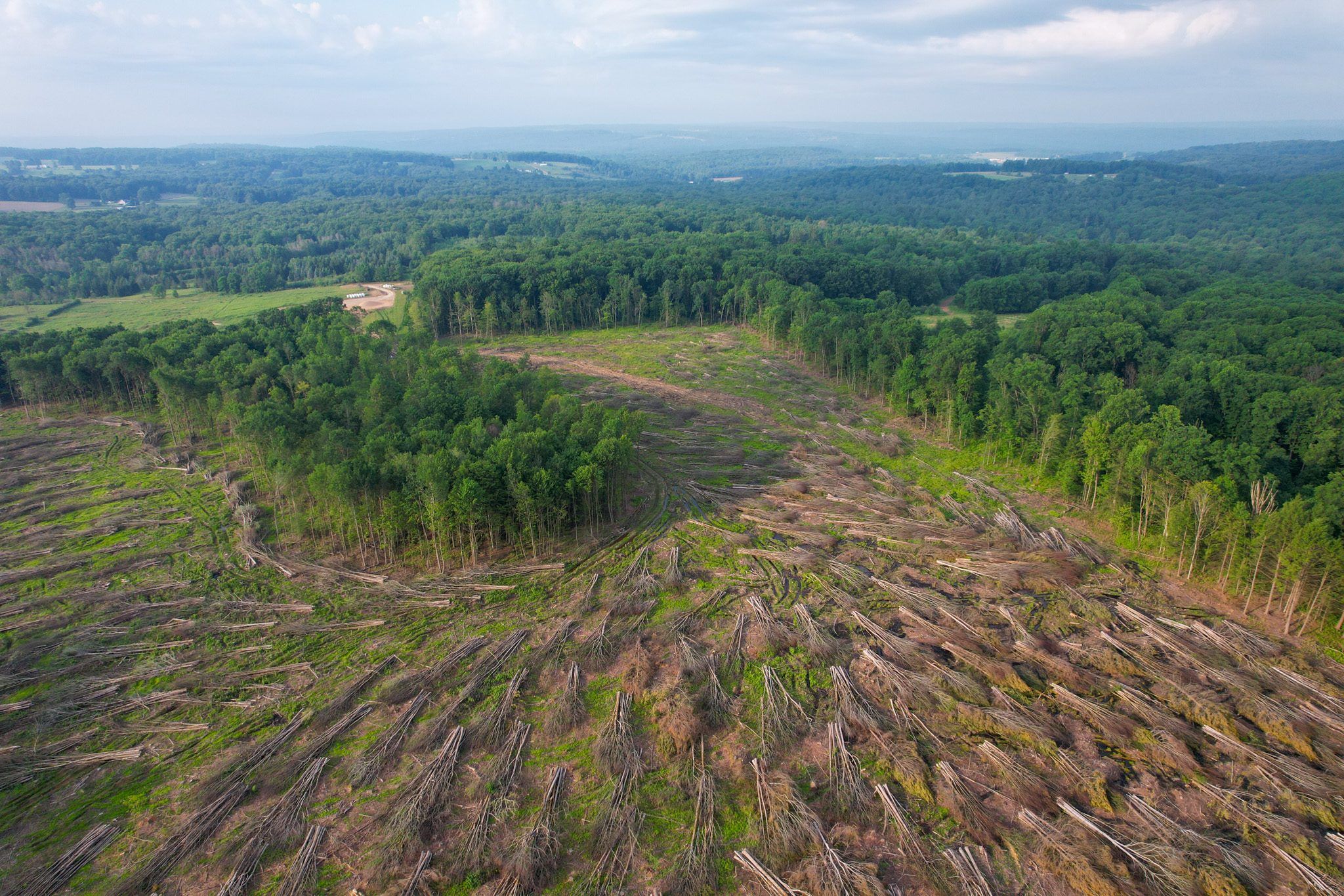 Aerial view along a cleared utility right of way cut through Northeast hardwood forest.